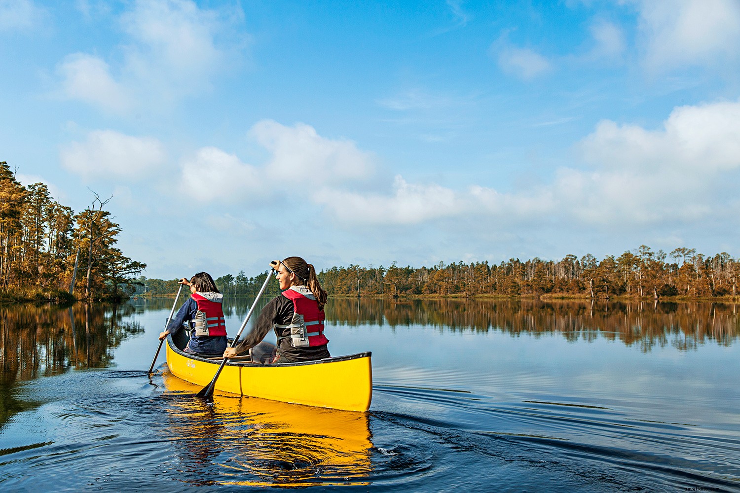 Vai fuori dai sentieri battuti in North Carolina questo autunno 